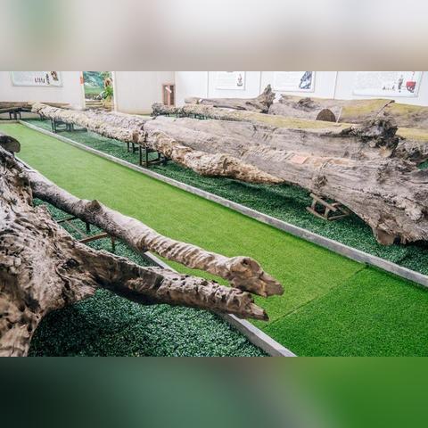 2025.11.19东莞今天空气质量指数怎么样