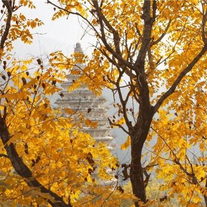 河南郑州好不好的相关长尾关键词有哪些