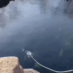 济南市取水点哪个水质好