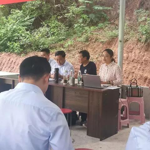 成都市怎么缴新农保