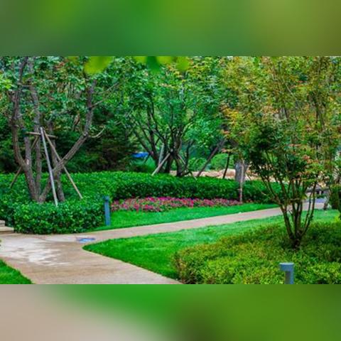 大连市园林处招聘的相关长尾关键词有哪些