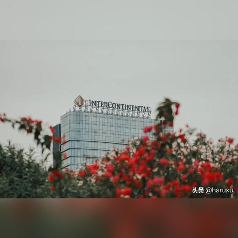 厦门市有什么别称