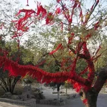 南宁老桂柳餐厅的相关长尾关键词有哪些