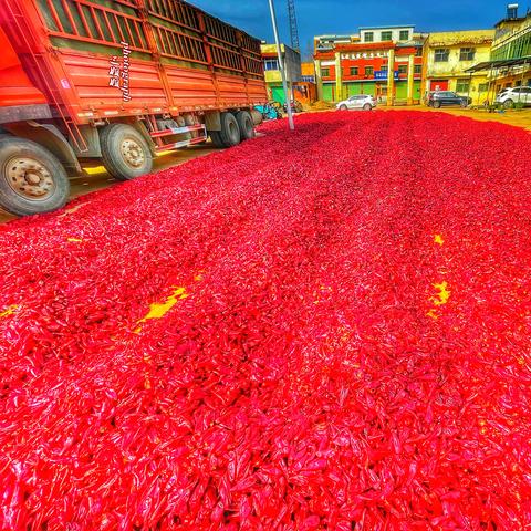 河南和贵州哪个最好