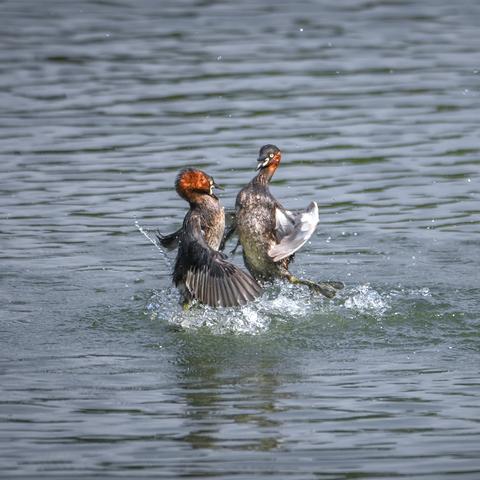 南宁市哪个地方好