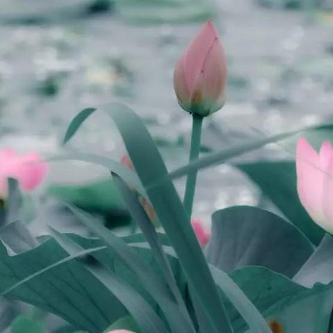 常熟市苏州路常熟市南湖建筑的长尾关键词有什么