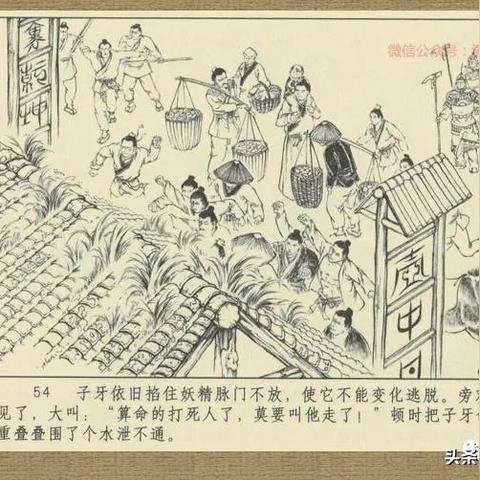 不算命人为什么活久_不算命人为什么活久了(算命不算死人是什么说法)