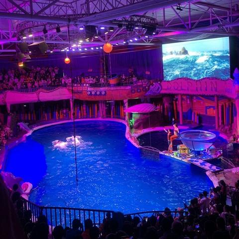 哈尔滨情侣合影相关长尾关键词有哪些