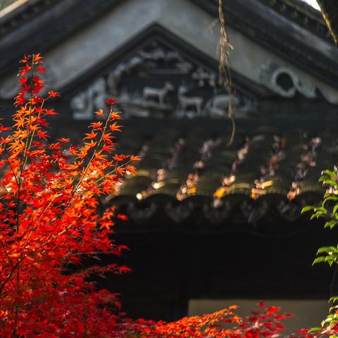 虞山公园 苏州市常熟市的长尾关键词有哪些