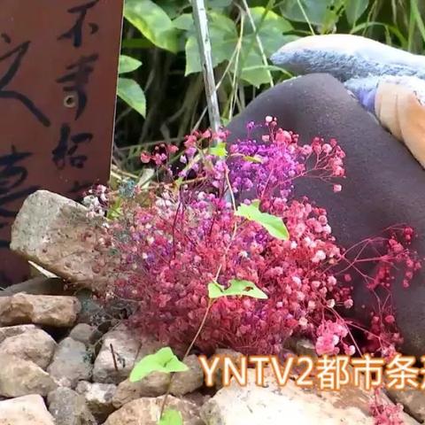 昆明市公墓多少钱一平方