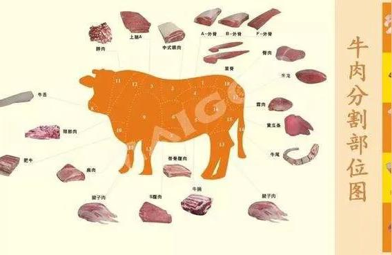 涮火锅吃的牛上脑是牛的哪个部位涮火锅牛肉什么部位好