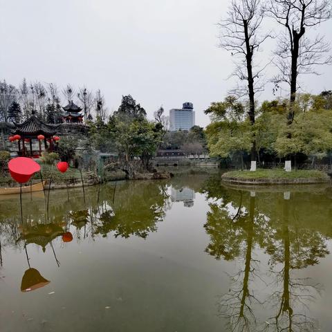 成都市一级园有哪些