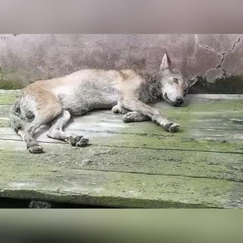 哈尔滨市多少个村子