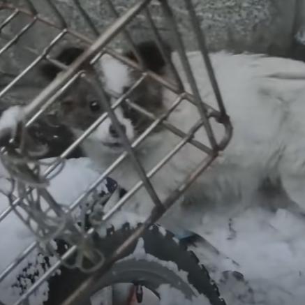 独自等待电影网站长尾关键词集合