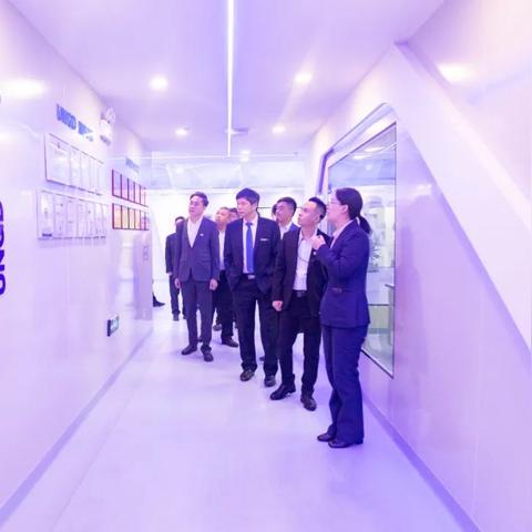 跨境哪个平台最大