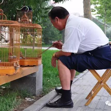 【北京到天津周末一日游】长尾关键词有什么