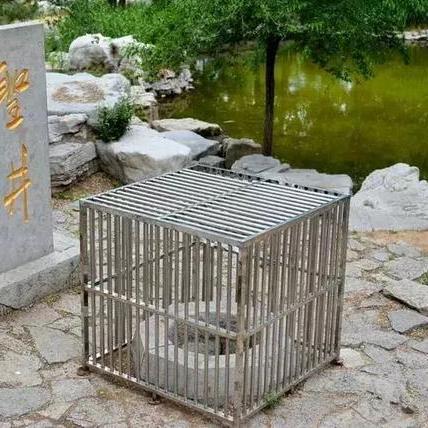 济南市夏至吃什么