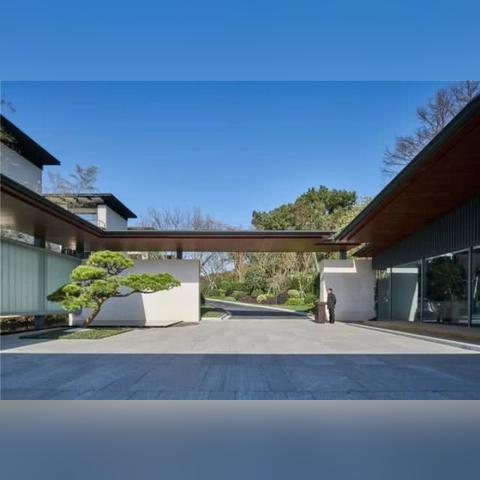 宁波黑松市场的长尾关键词有什么