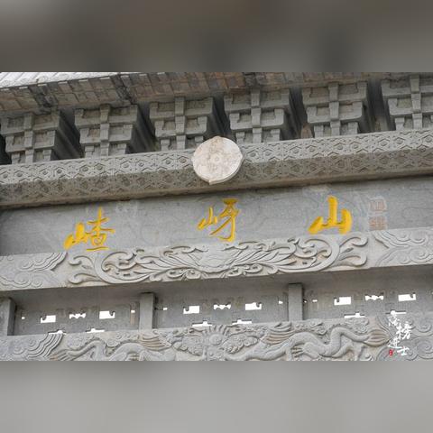 河南种什么盆景最好养活
