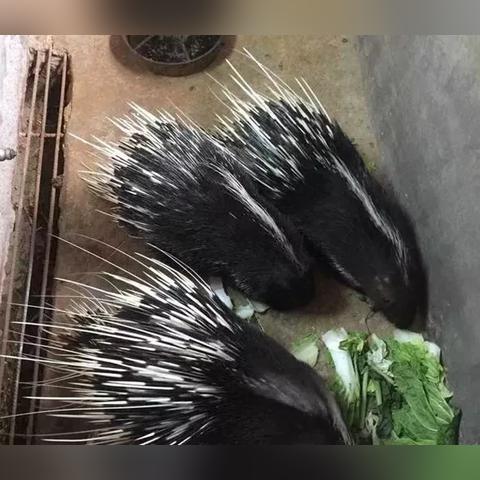 遵义人工智能ai排名的相关长尾关键词有哪些