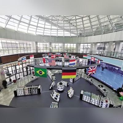 为什么做跨境业务