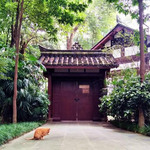 成都市内哪里有景区开放