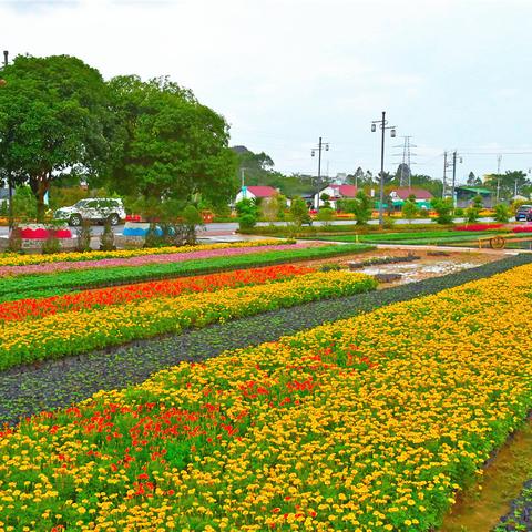 桂林市怎么去尧山