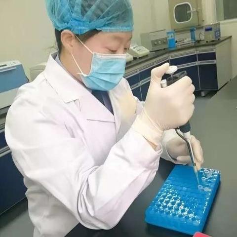 河南疫情最新消息12月的相关长尾关键词有哪些