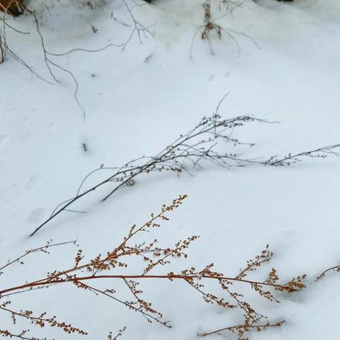 兰州市小关山属于哪里