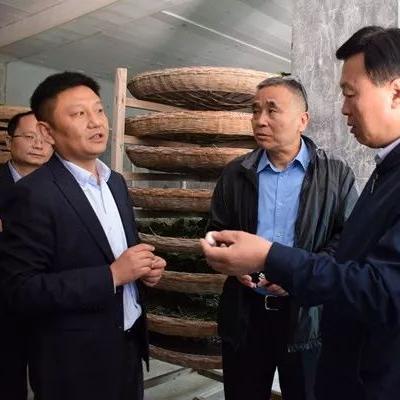 西安碑林药业待遇如何相关长尾关键词有哪些