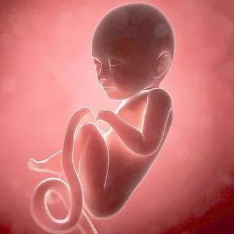 肌酸酐(肌酸酐和肌酐的区别) 肌酸酐(肌酸酐和肌酐的区别)