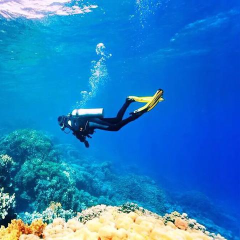 南宁 黄果树的相关长尾关键词有哪些