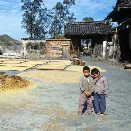 福建商人名声怎么样