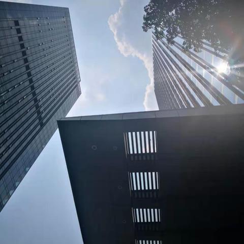 南宁市鸿运养殖场怎么样