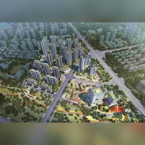 全国哪些城市有武汉路？