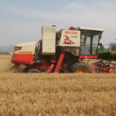 济南各区面积排名？