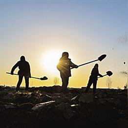 石家庄市大姜收购的长尾关键词有哪些