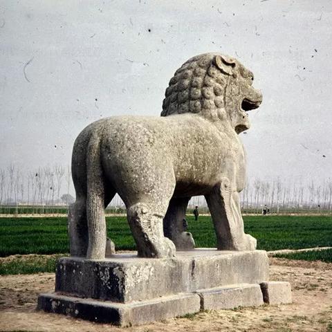 甘肃杨氏摄影集团怎么样