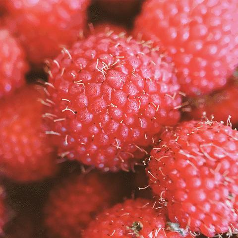 成都市菜园小别墅房价走势的长尾关键词有哪些