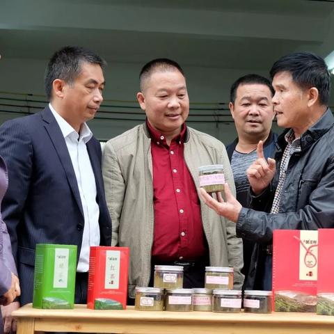 桂林市哪里产茶叶
