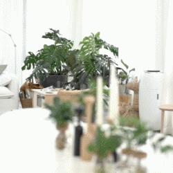 上海硬装设计包括哪些