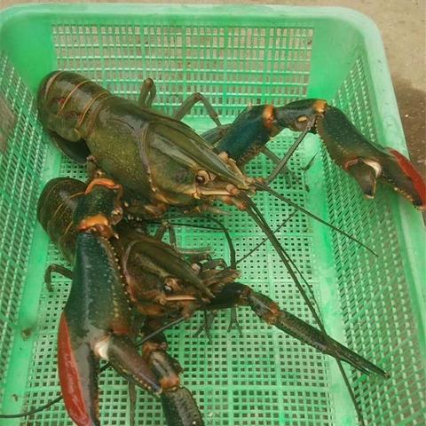 南宁市游泳场水质怎么样