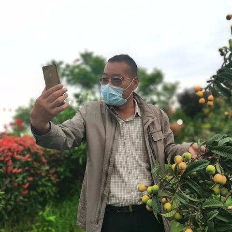 武汉市最适合种什么果树