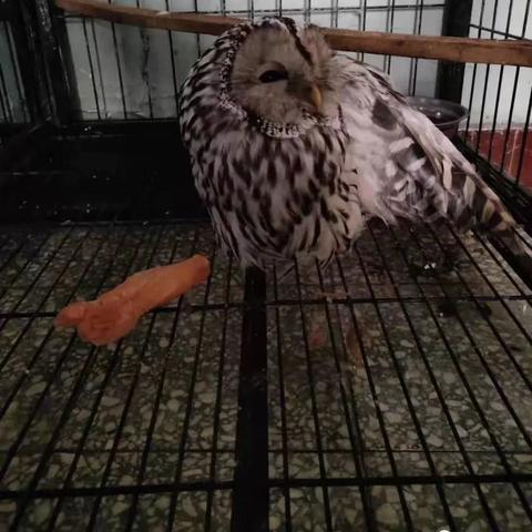 骨折了可以做什么工作的长尾关键词有什么