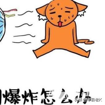 丰县过去天气预报的长尾关键词有哪些