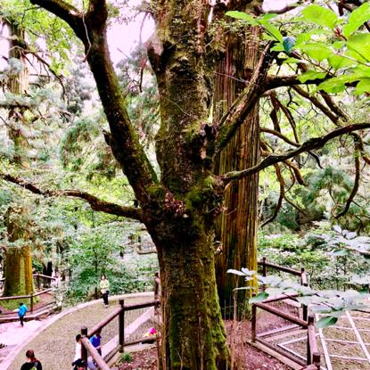 一生必游国内10大景点庐山