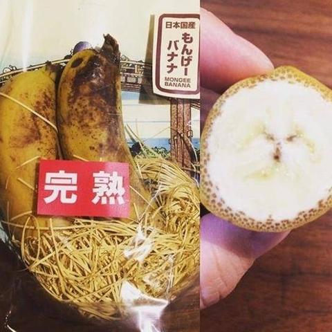 广州香蕉树耐零下3度吗？