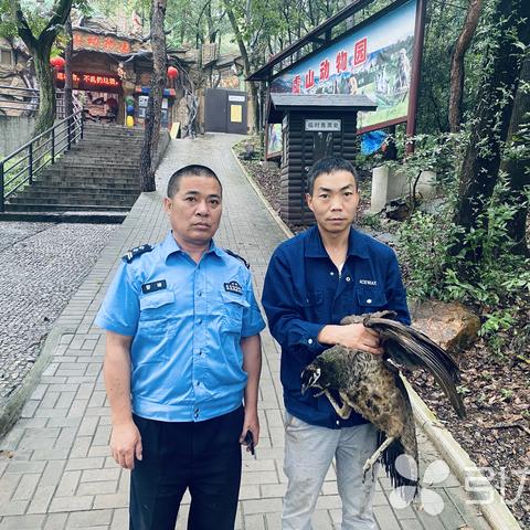 江苏省苏州市常熟市虞山派出所的长尾关键词有哪些