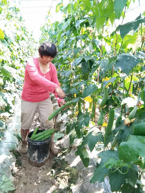 普通家庭可以做什么副业 普通家庭怎么赚40万元