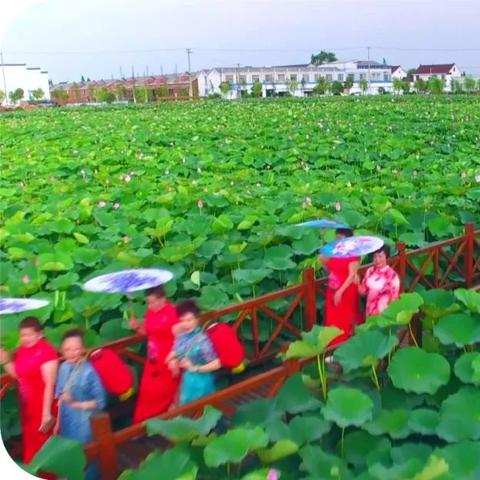 南通市哪里休闲好